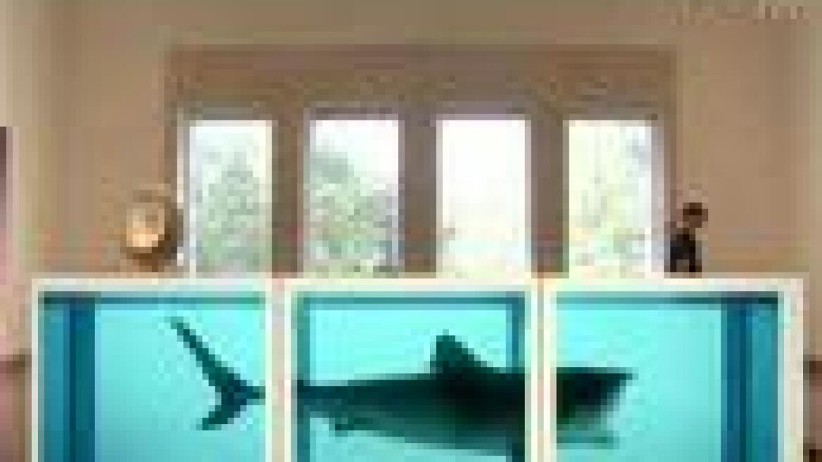Damien Hirst's Shark at the Met