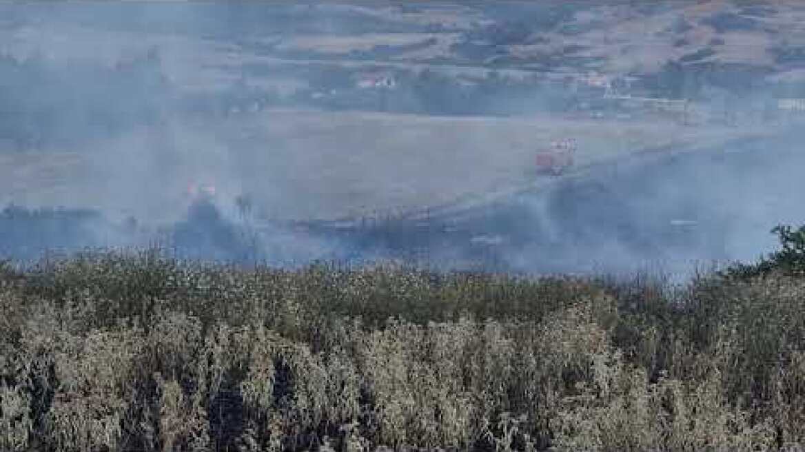 ΘΕΣΣΑΛΟΝΙΚΗ -ΦΩΤΙΑ (4)