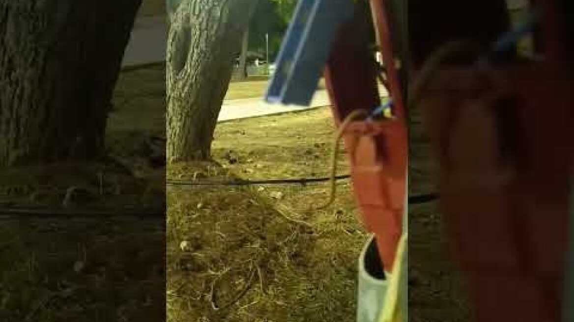 ΑΤΥΧΗΜΑ ΣΕ ΠΑΙΔΙΚΗ ΧΑΡΑ ΑΡΤΕΜΙΔΟΣ ΑΠΟ ΓΥΜΝΑ ΚΑΛΩΔΙΑ