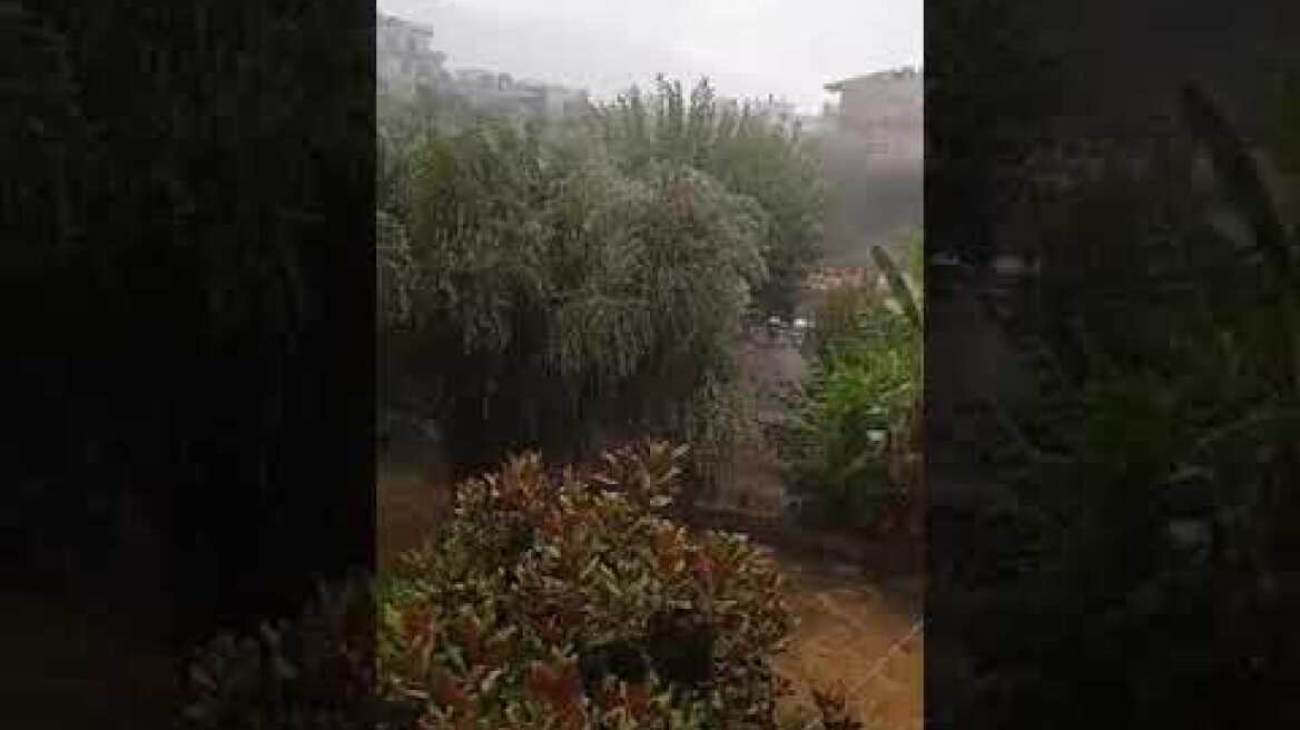video 1660376279