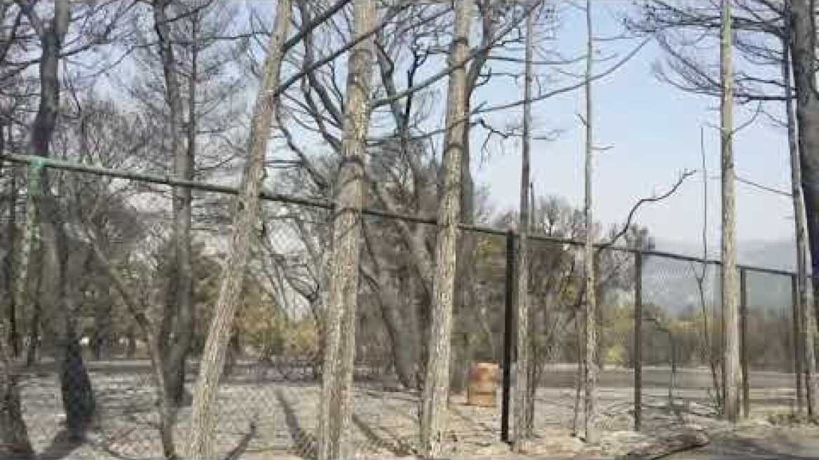 Καμένα - Κτήμα Κοντομηνά