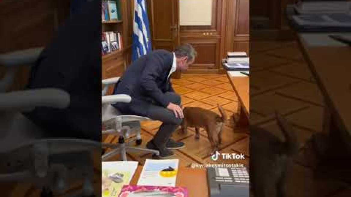 Κυριάκος Μητσοτάκης από Πειραιώς (tiktok)