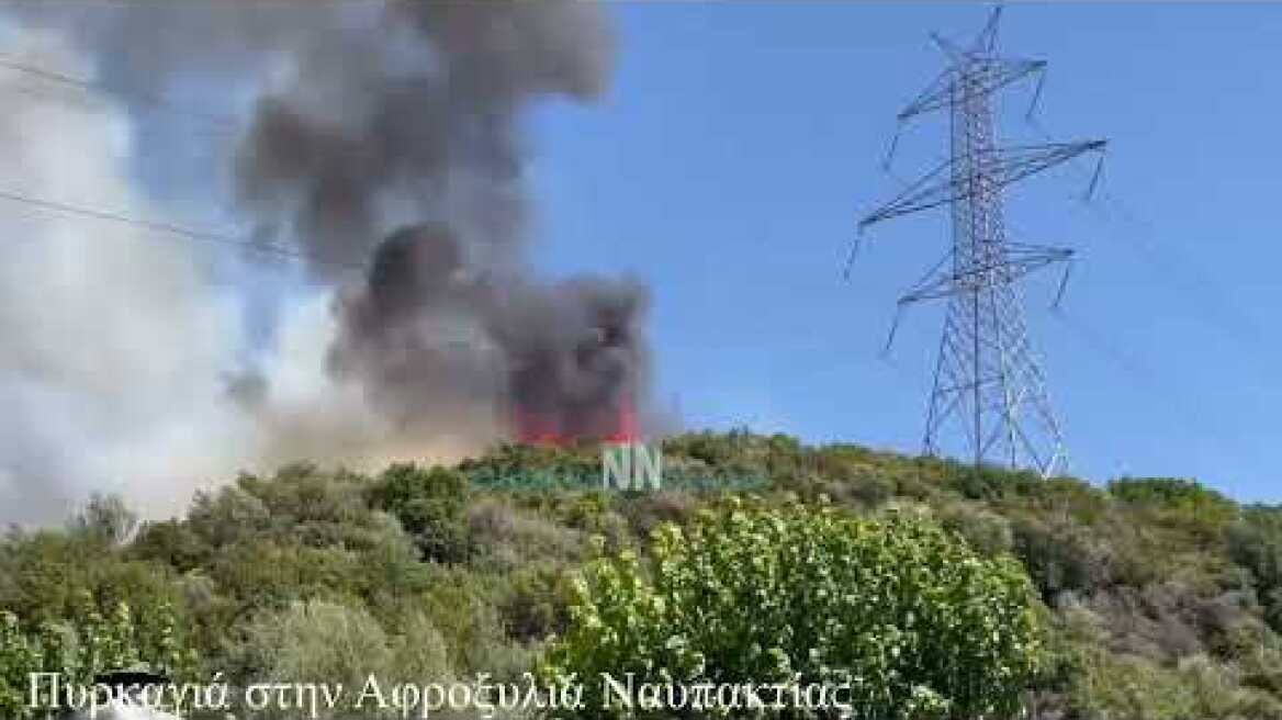 Nafpaktia news: Νέα μεγάλη  πυρκαγιά στην Αφροξυλιά Ναυπακτίας-Πλησιάζει σε σπίτια