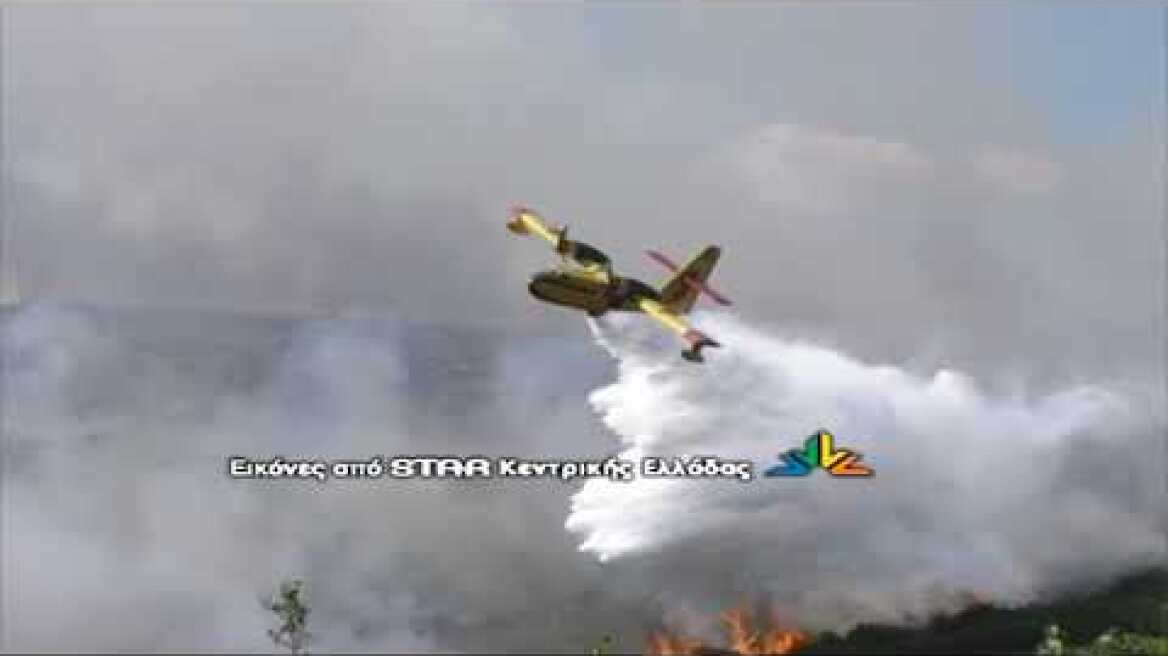 Πλάνα από την φωτιά στο Πετρωτό Δομοκού