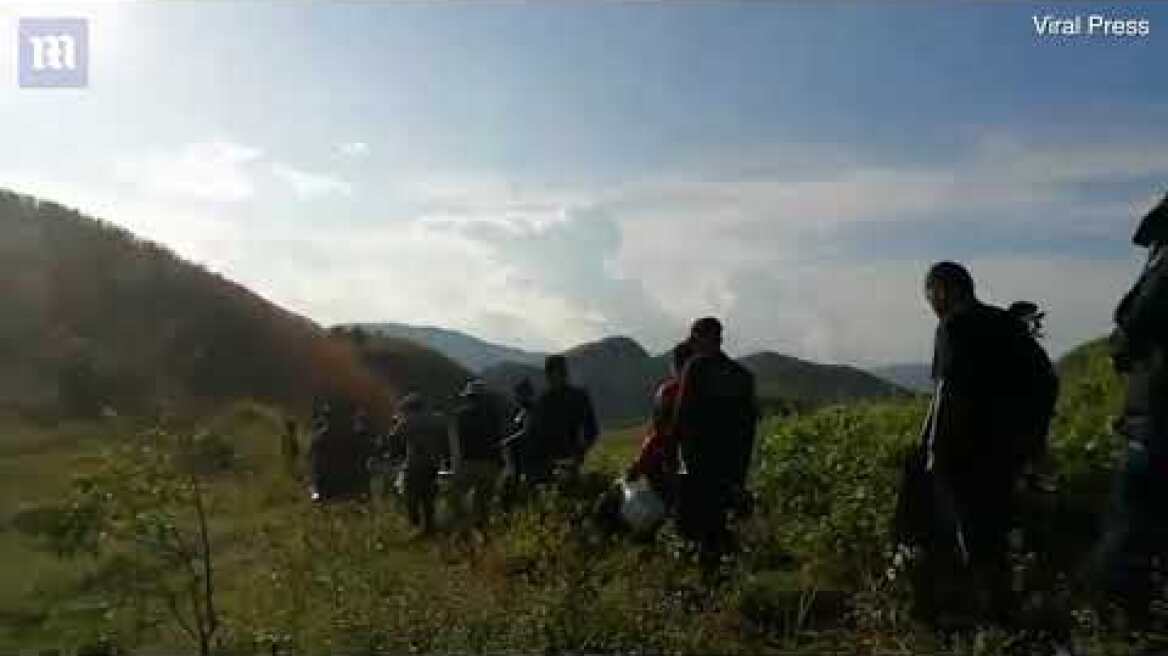 Video: Tour guide killed by swarm of hornets on Thailand sightseeing trip
