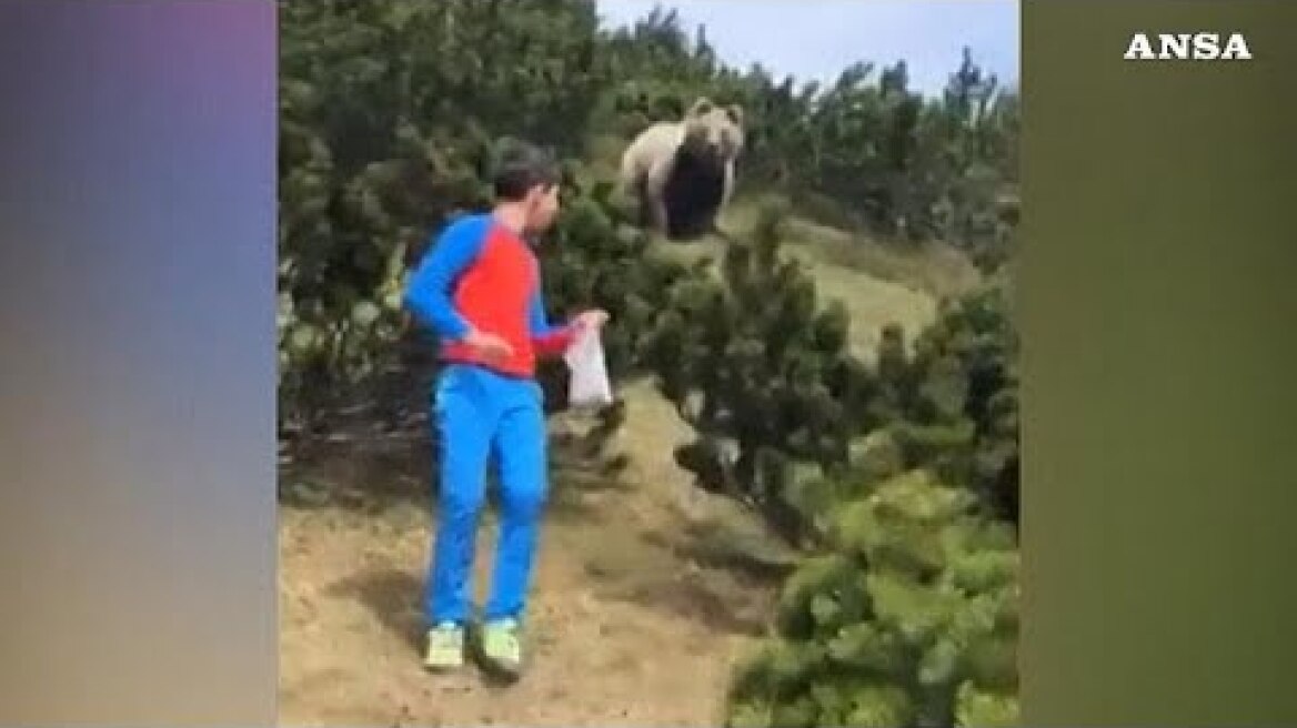 Boy in Italy stays calm as brown bear emerges from bush just metres away from him