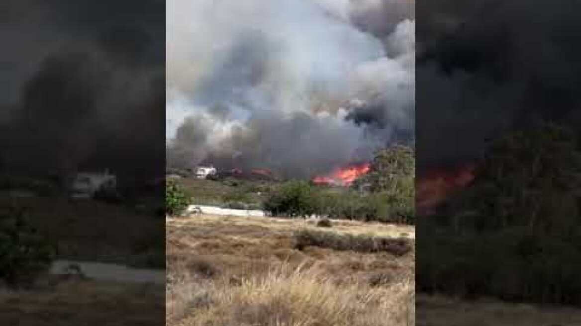 Φωτιά στο Λαγονήσι (12)