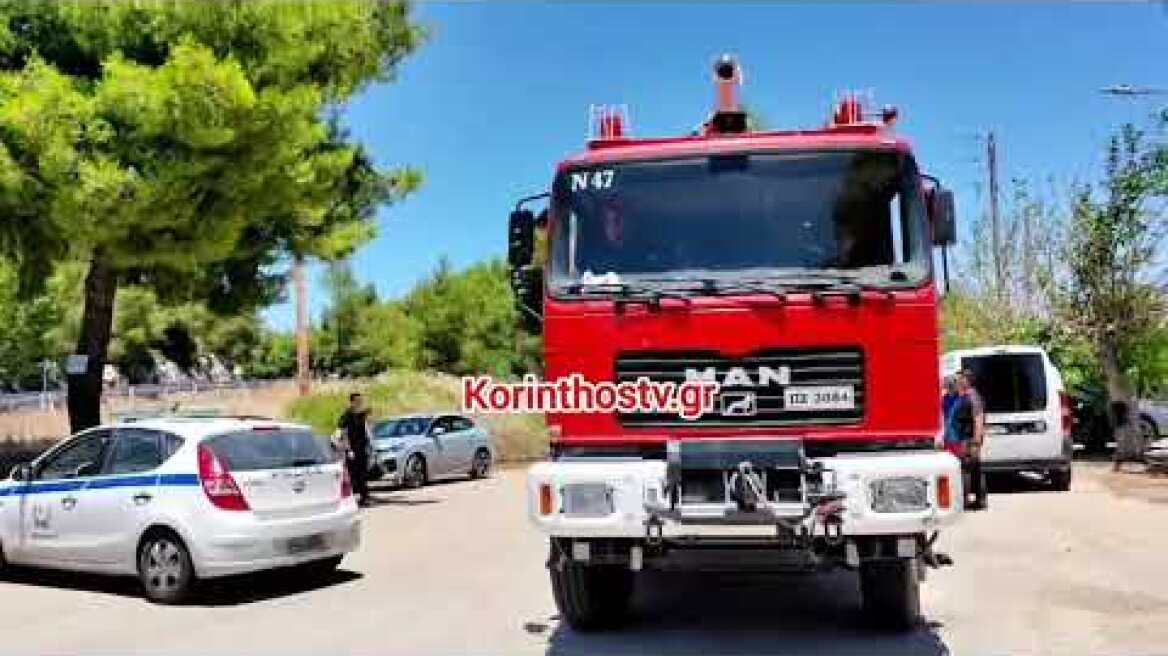 Φωτιά Αμόνι Κορινθίας 