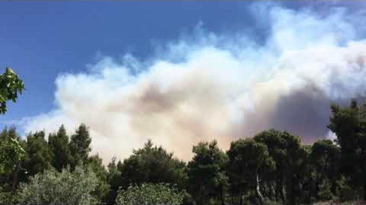 Φωτιά Αλεποχώρι