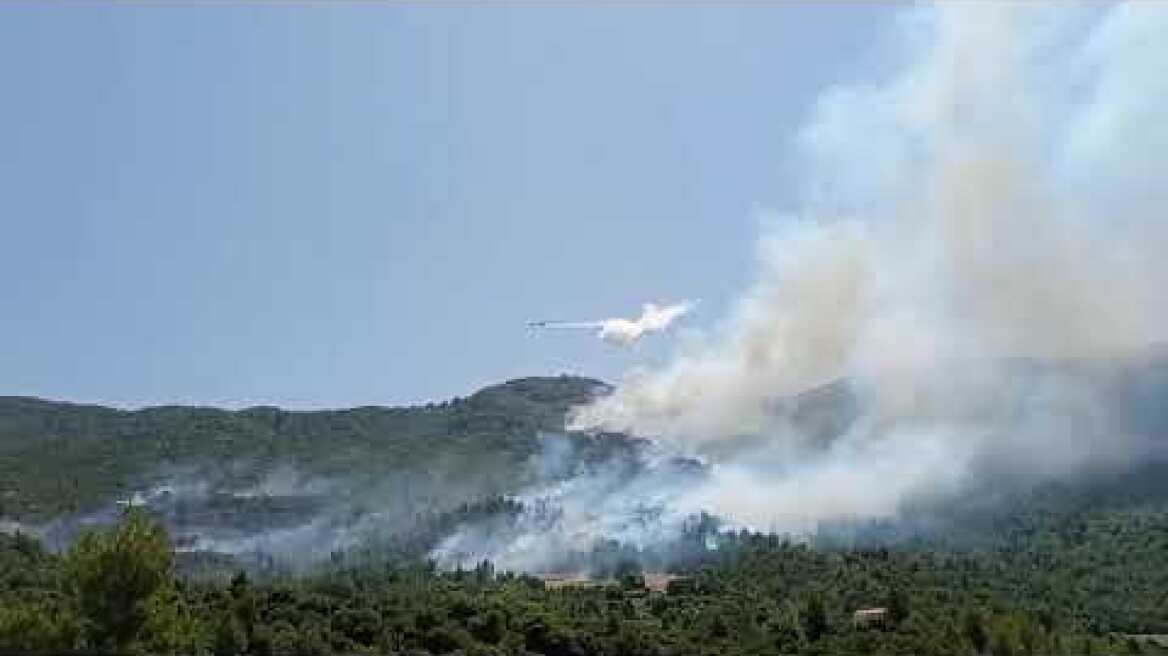 ΦΩΤΙΑ ΔΡΟΣΙΑ 28.07.2021