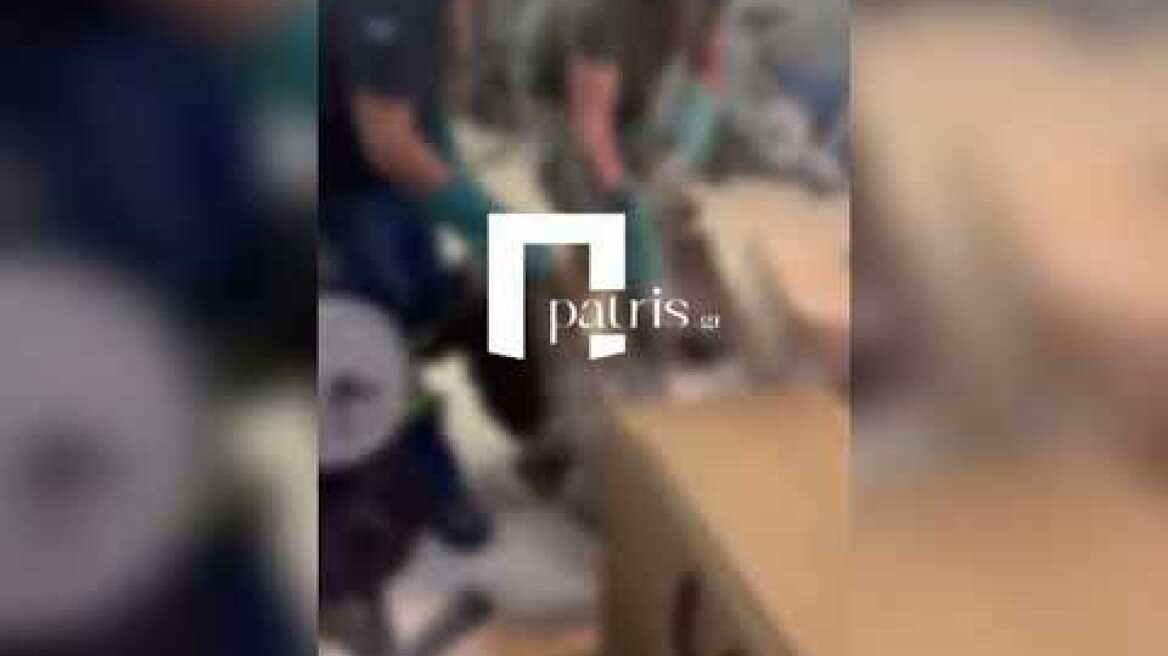 Ηράκλειο: Γύπας δεν έφευγε από το φτερό αεροπλάνου που ήταν έτοιμο για απογείωση