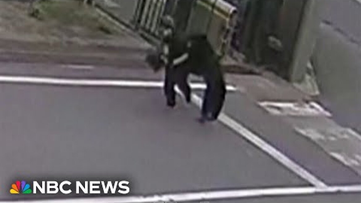 Bear attacks in Japan on the rise