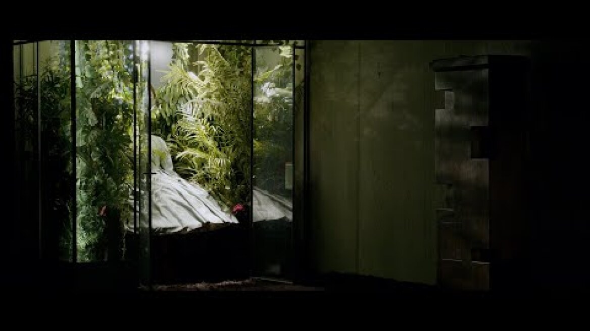 Amalia melancholia, η βασίλισσα των φοινίκων | Σκηνοθεσία Ζωή Χατζηαντωνίου