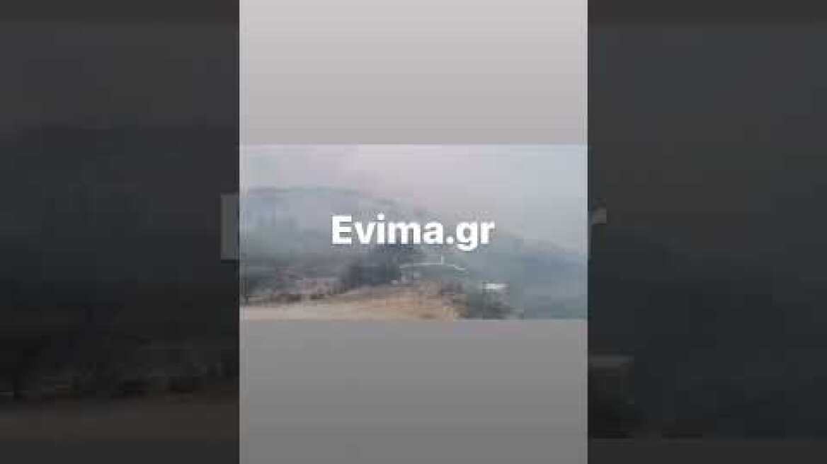 Μεγάλη φωτιά στην Εύβοια: Αστυνομικοί διώχνουν τον κόσμο από το χωριό Αμυγδαλιά