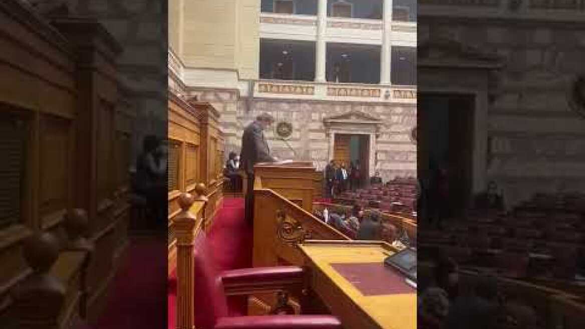 Βουλή - Πολάκης