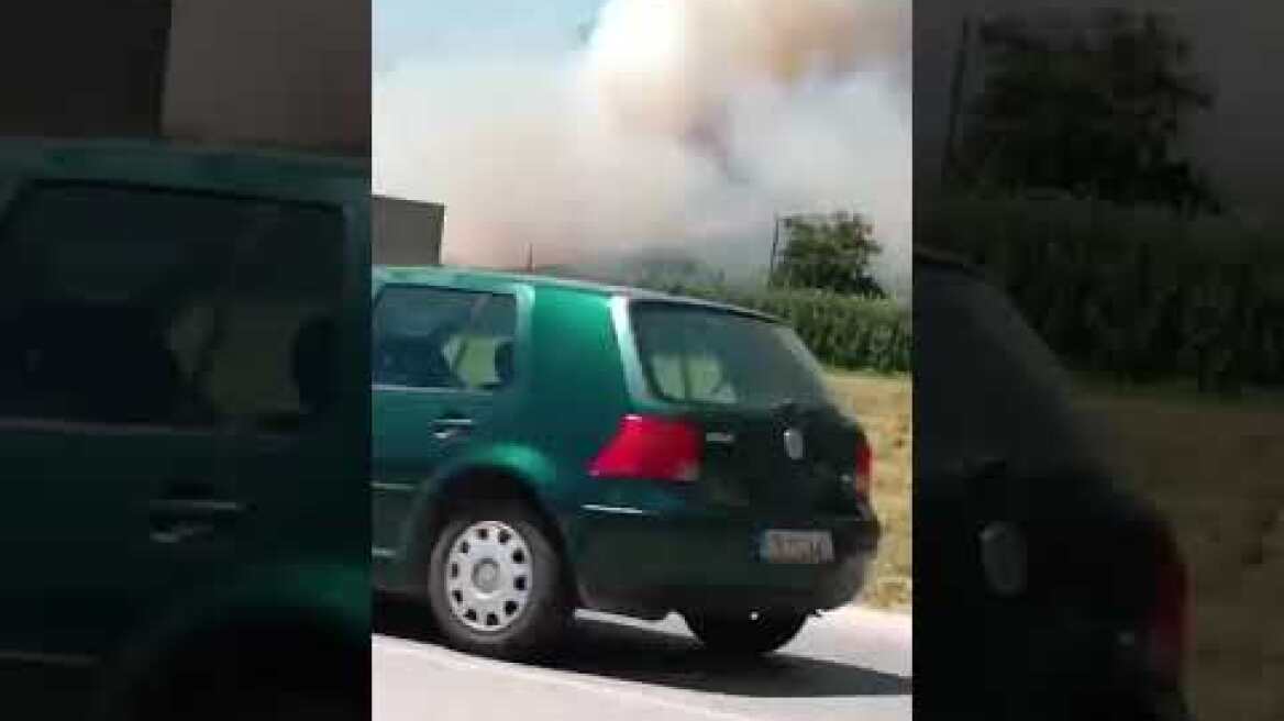 Φωτιά στη Λάρισσα (1)