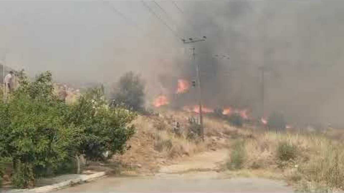 Αναζωπυρώσεις σε πολλές, διάσπαρτες, μικρές εστίες στην Χασιά
