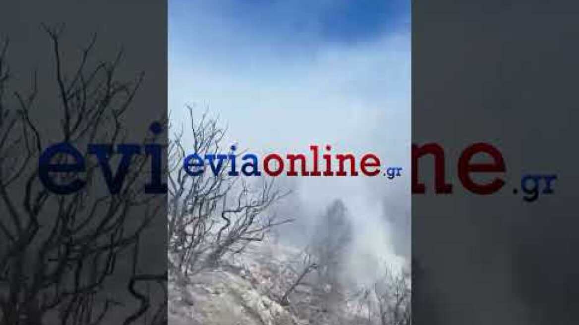 Εύβοια: Φωτιά σε δασική έκταση