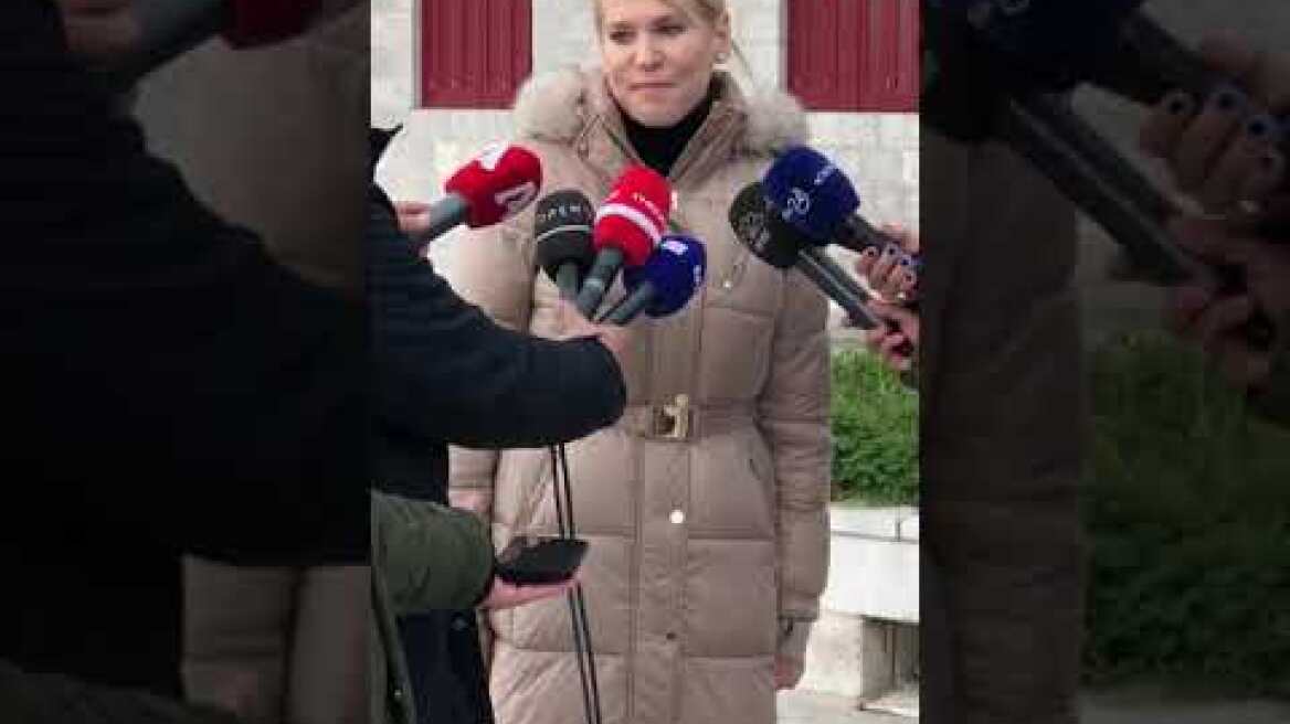 Δηλώσεις Τζάκρη