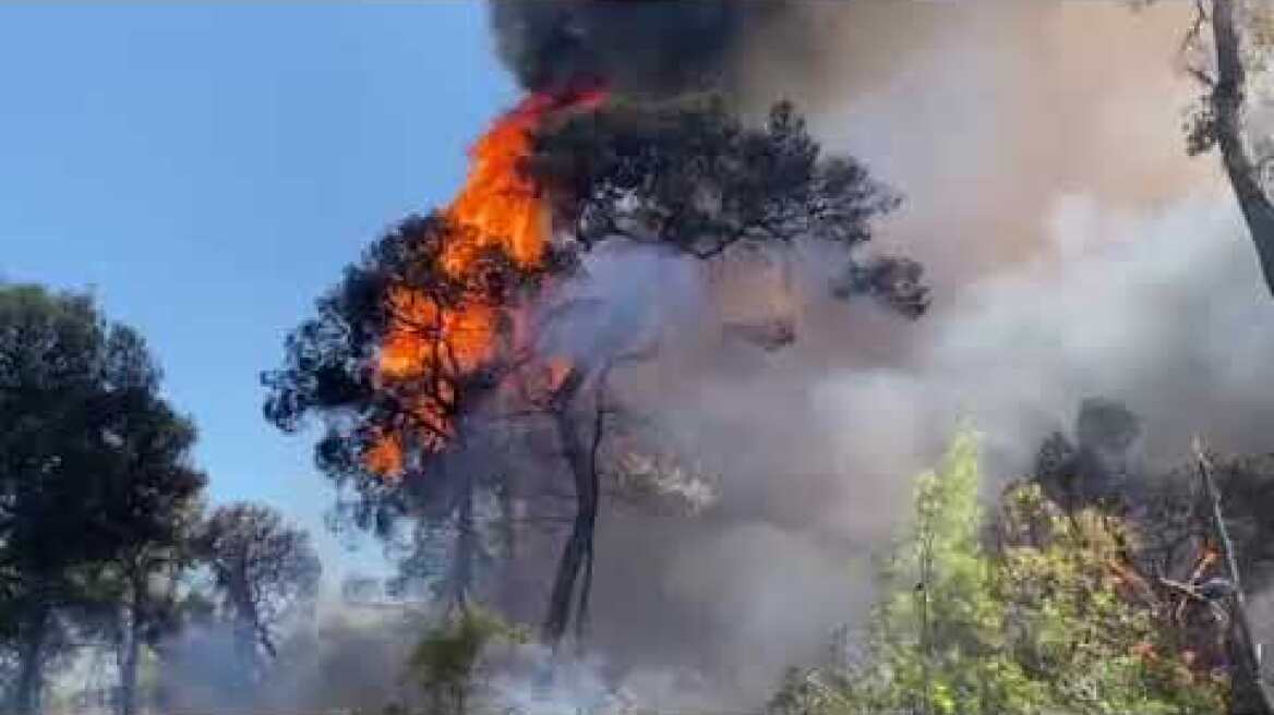 Φωτιά στο Σοφικό Κορινθίας (7)