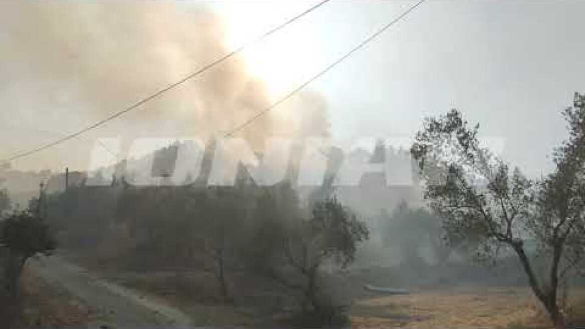 Ζάκυνθος | Μεγάλη φωτιά σε εξέλιξη στο Αργάσι | Απειλούνται σπίτια