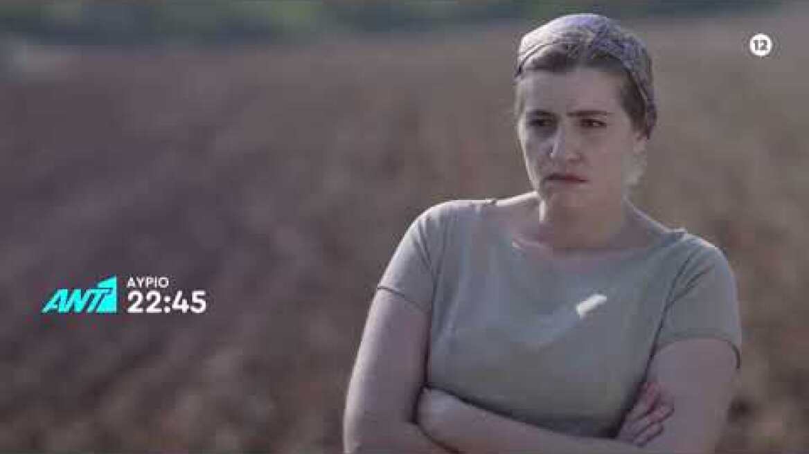 Άγριες Μέλισσες – Πέμπτη 31/10