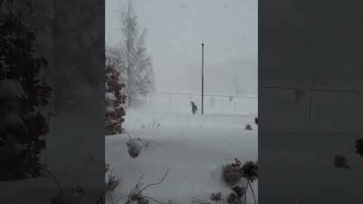 Extreme Weather in Oslo - Norway is Freezing! -Winter Snow Storm