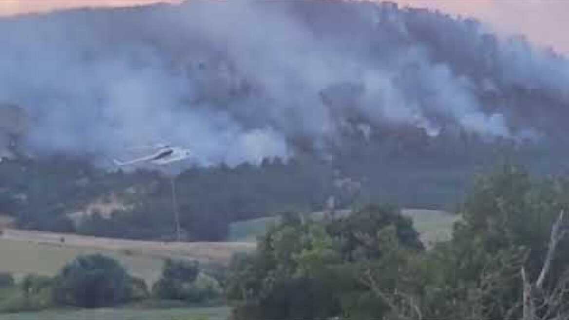 Η μεγάλη φωτιά στο Δάσος Δαδιας κοντά στη Λύρα Σουφλίου