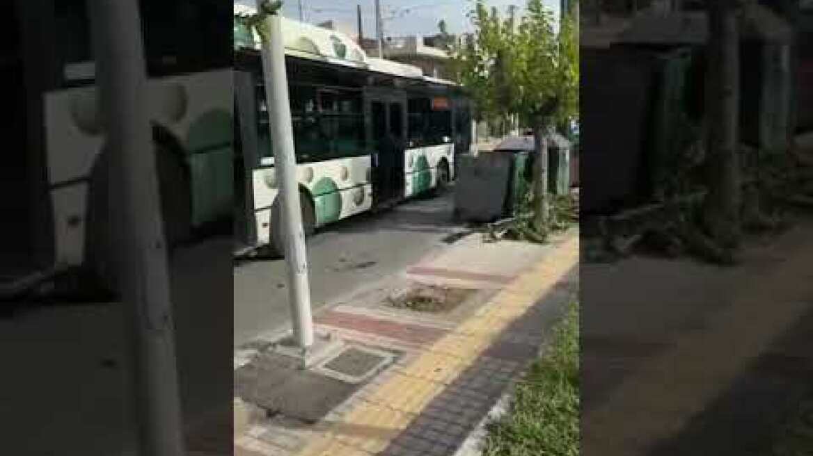 Πέταξαν έξω από το λεωφορείο επιβάτη γιατί είχε μαζί του γάτα (2)