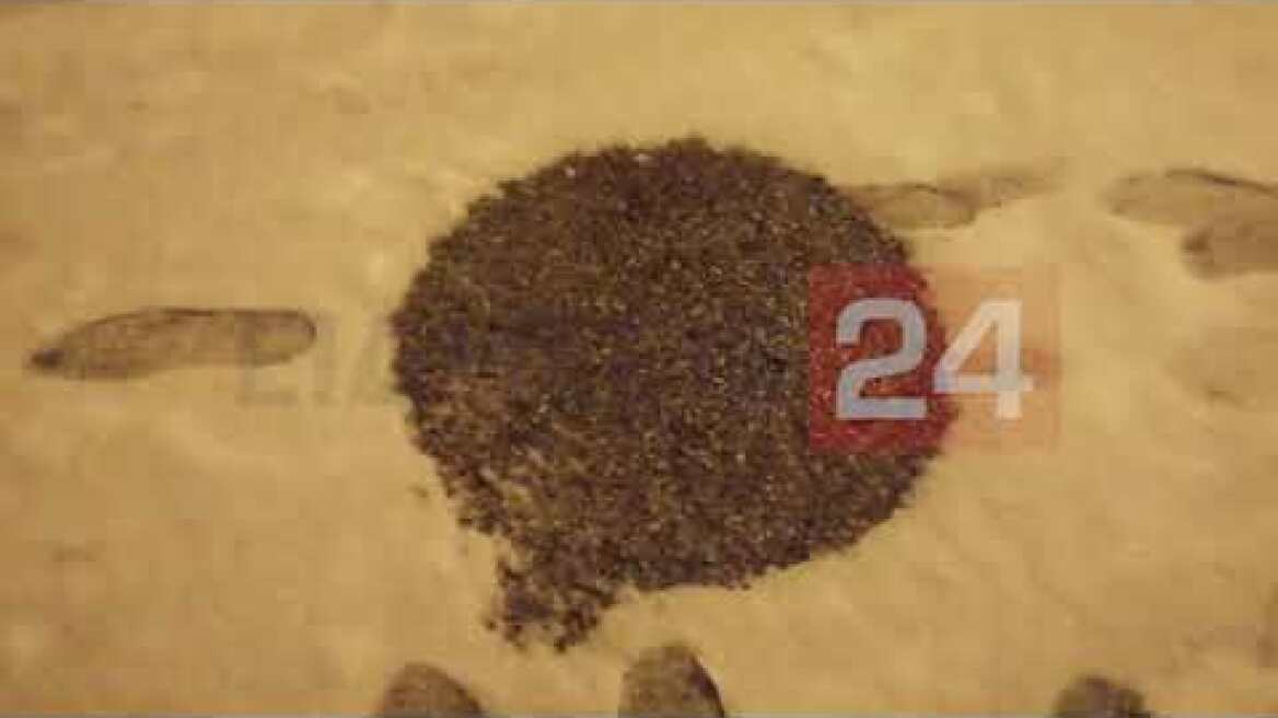 14-2-2021 - ΚΑΒΑΛΑ - ΠΕΡΙΟΧΗ ΠΟΤΑΜΟΥΔΙΑ - ΧΙΟΝΙ - ΧΙΟΝΟΠΤΩΣΗ