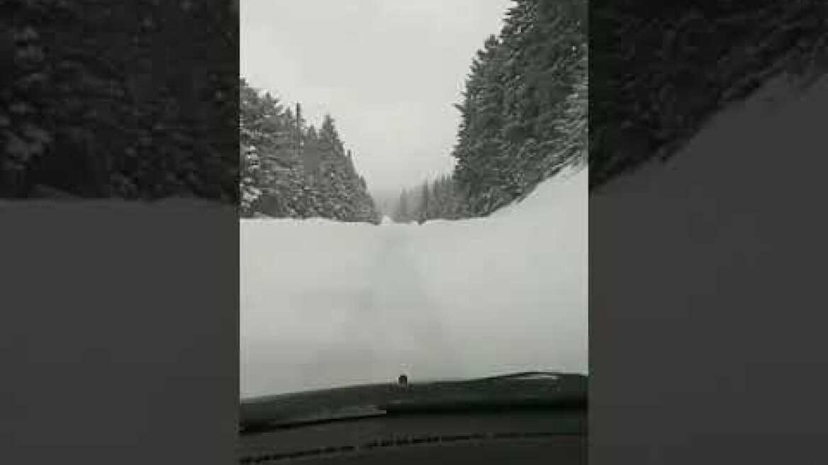 1 μέτρο χιόνι στο Περτούλι