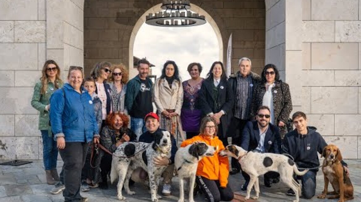 Messinia Without Strays - Phase A'  22-24 November 2020