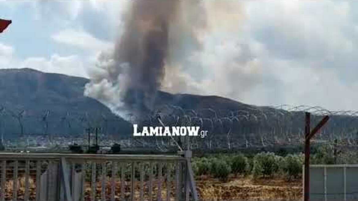 Ειδήσεις από την Λαμία, την Φθιώτιδα και την Στερεά Ελλάδα