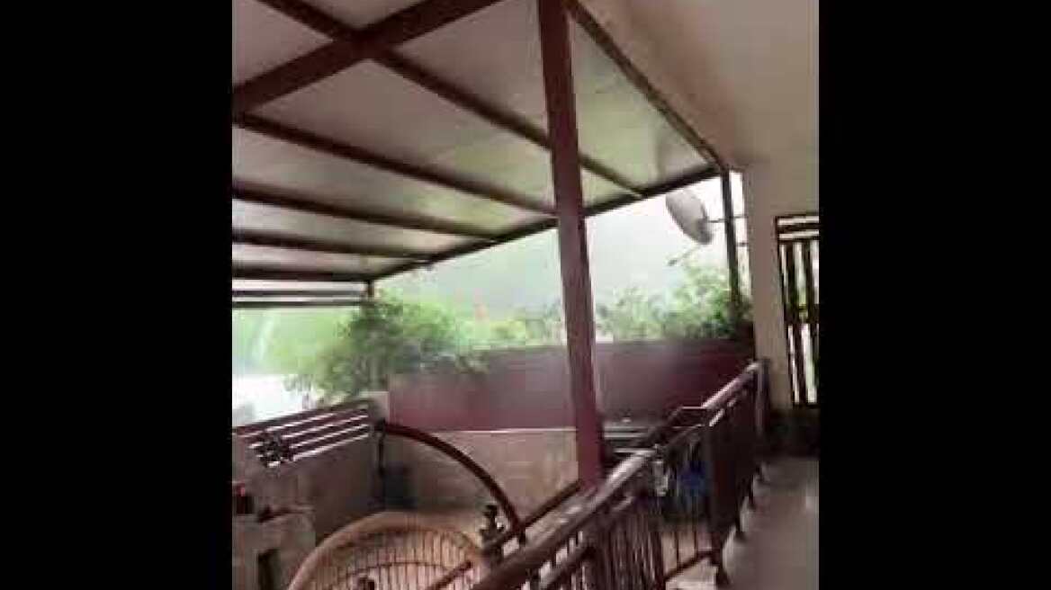 ΚΑΤΑΙΓΙΔΑ ΜΑΥΡΟΔΕΝΤΡΙ ΚΟΖΑΝΗΣ