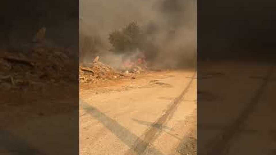 Φωτιά στα Βριλήσσια (2)