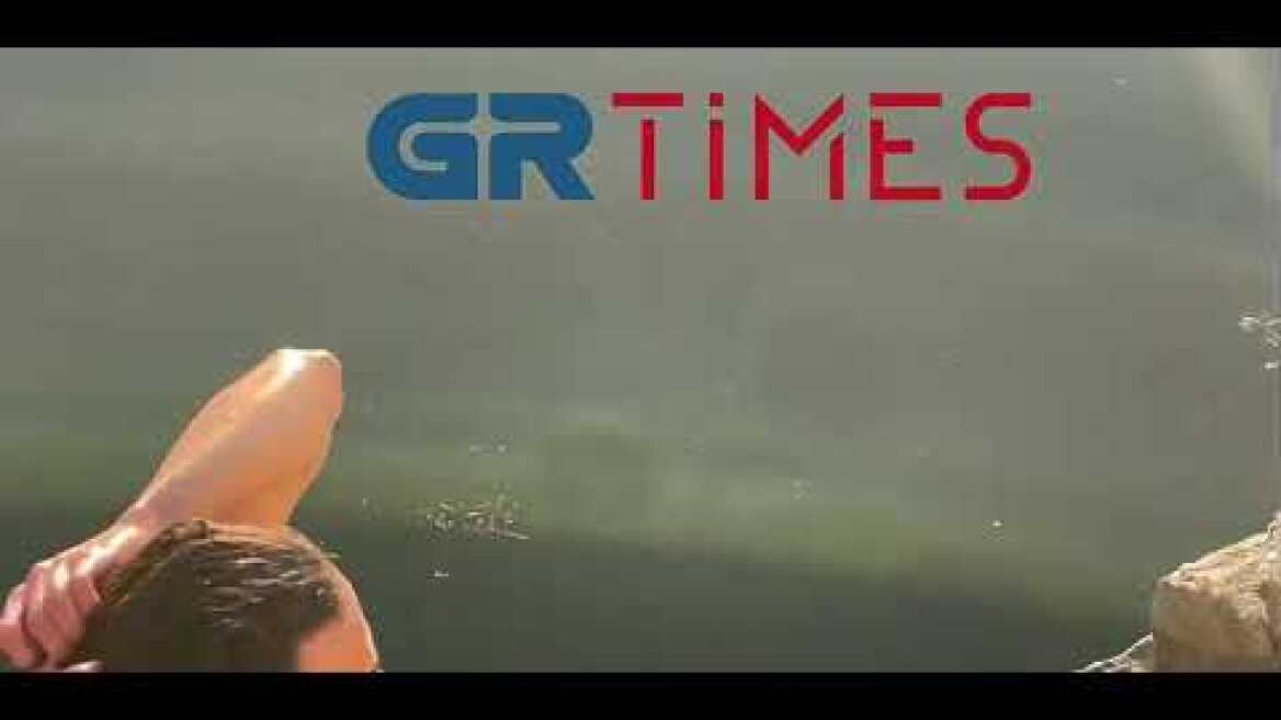 Θεσσαλονίκη: Άνδρας βούτηξε στον Θερμαϊκό για να σώσει σκυλάκι