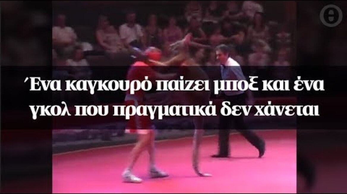 Ένα καγκουρό παίζει μποξ και ένα γκολ που πραγματικά δεν χάνεται