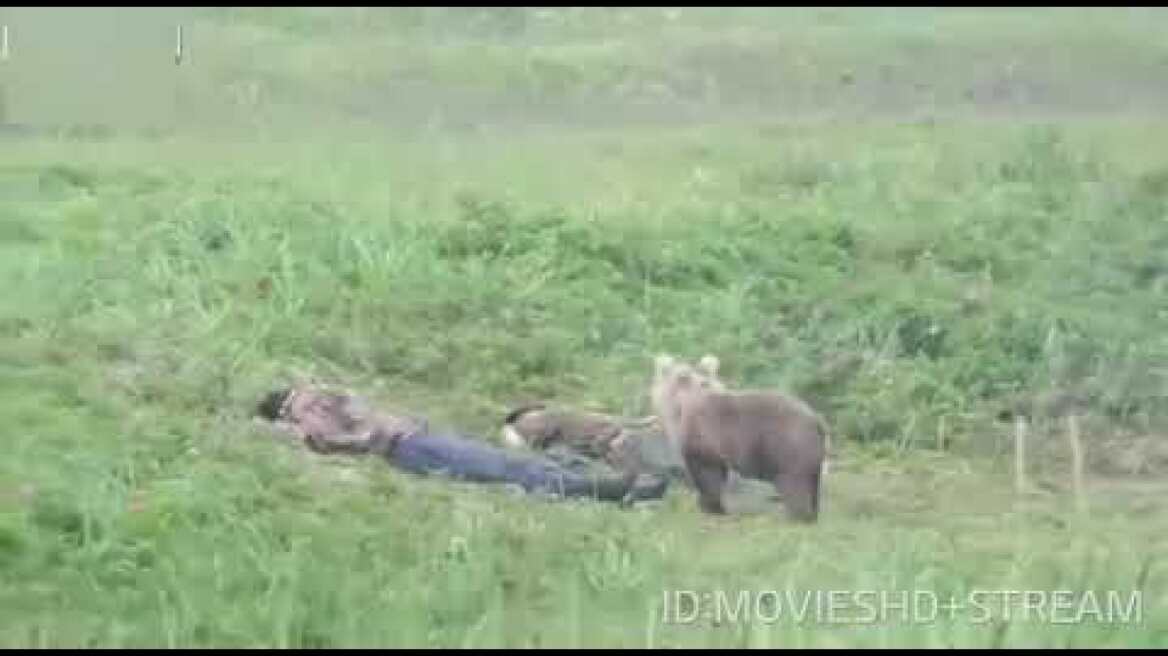 Φοβάται ο... Γιάννης την αρκούδα ή η αρκούδα τον... Γιάννη;