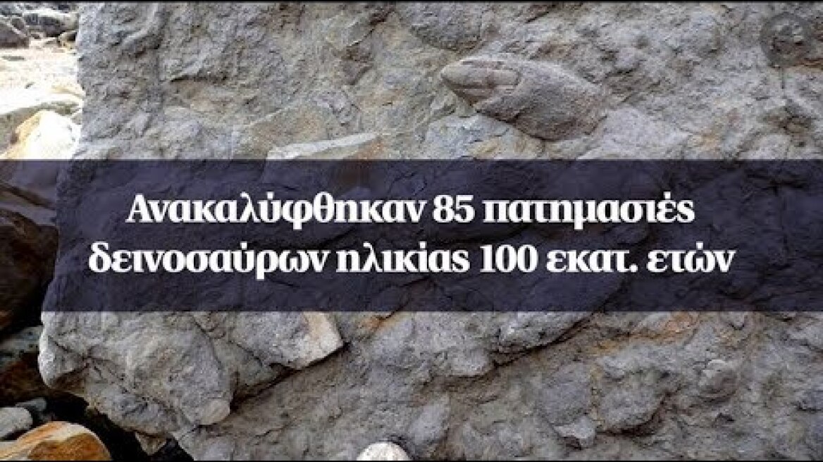 Ανακαλύφθηκαν 85 πατημασιές δεινοσαύρων ηλικίας 100 εκατ. ετών