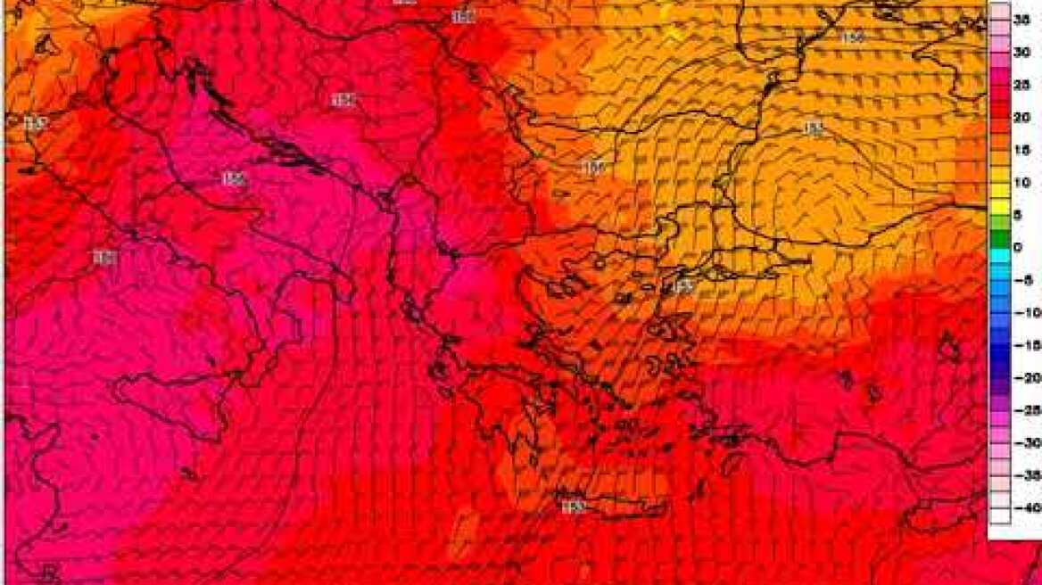 T 850 hPa Forecast