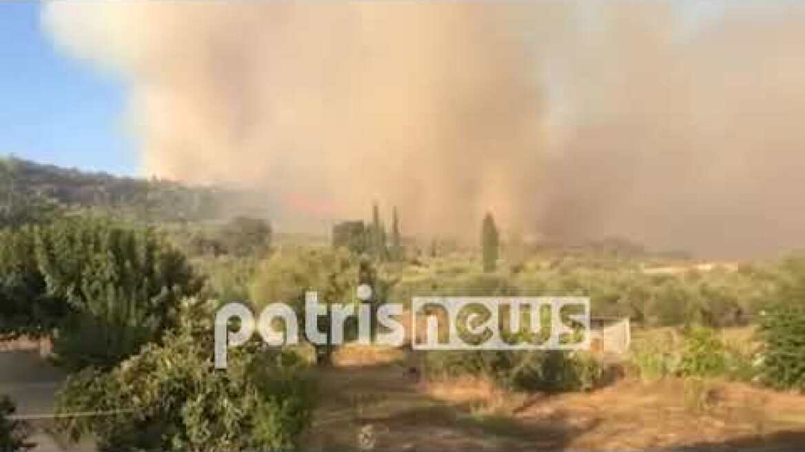 Πυρκαγιά στην Δάφνη Ηλείας: Ήχησαν οι καμπάνες του χωριού - Σοκαριστικές στιγμές για τους κατοίκους