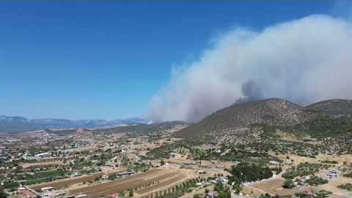 Φωτιά στην Εύβοια