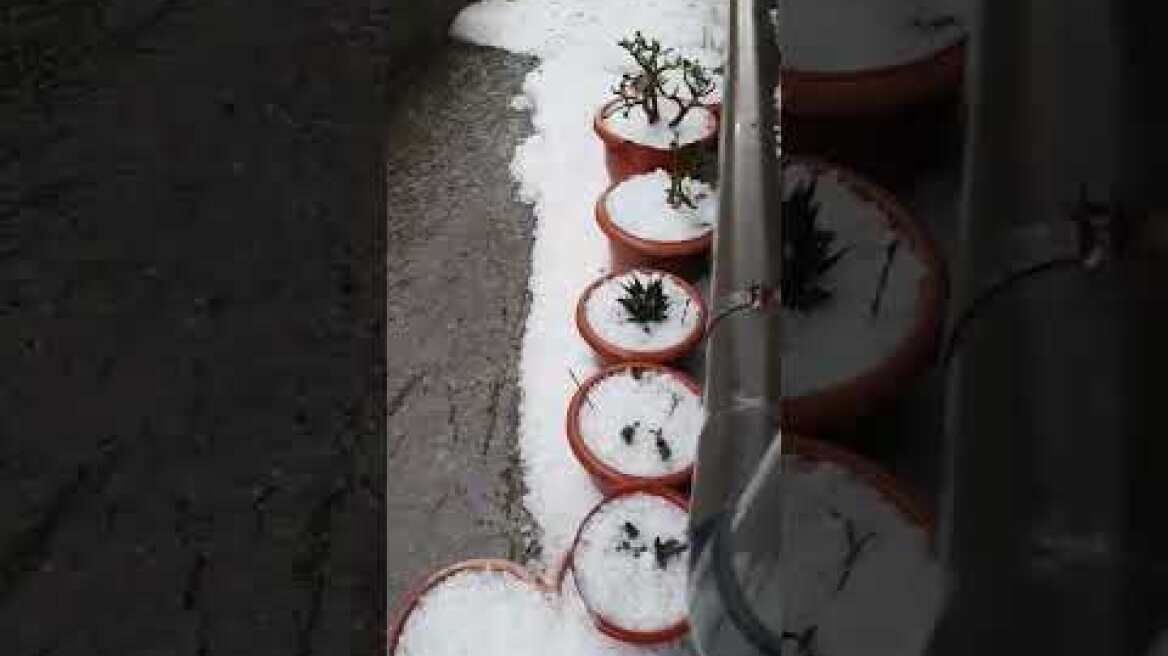 Χαλαζόπτωση στην Σταμνά Μεσολογγίου 24/4/25