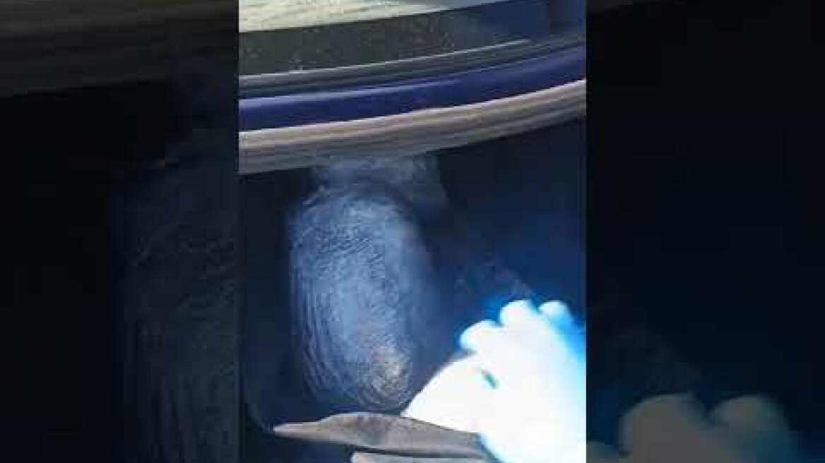 Thestival.gr Καστοριά: Μετέφεραν σε σάκους πάνω από 28 κιλά κάνναβη