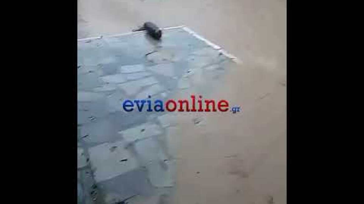 Πλημμύρες Β. Εύβοια - Κακοκαιρία elias