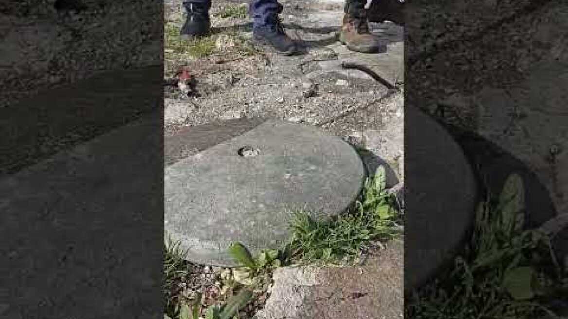 Μεγάλη Αστυνομική Επιχείρηση στα Άνω Λιόσια  7