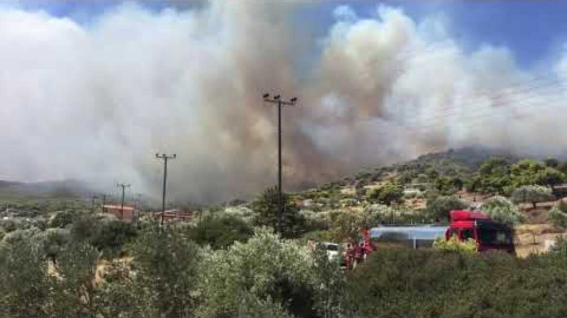 Πυρκαγιά Μαρκάτι