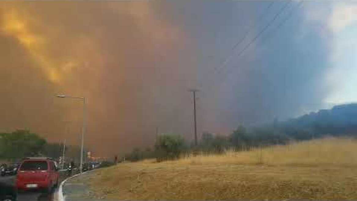 Φυλή μεγάλη αναζωπυρώση τώρα