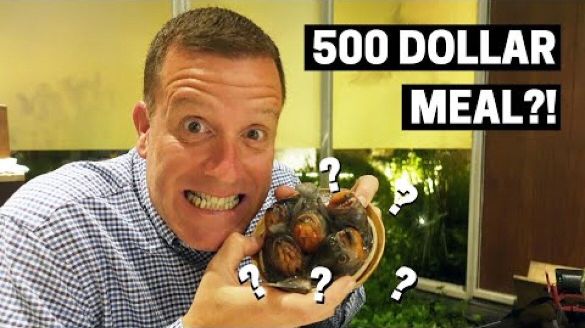 CENTRAL RESTAURANT LIMA PERU | Our experience at one of the top 10 restaurants in the world