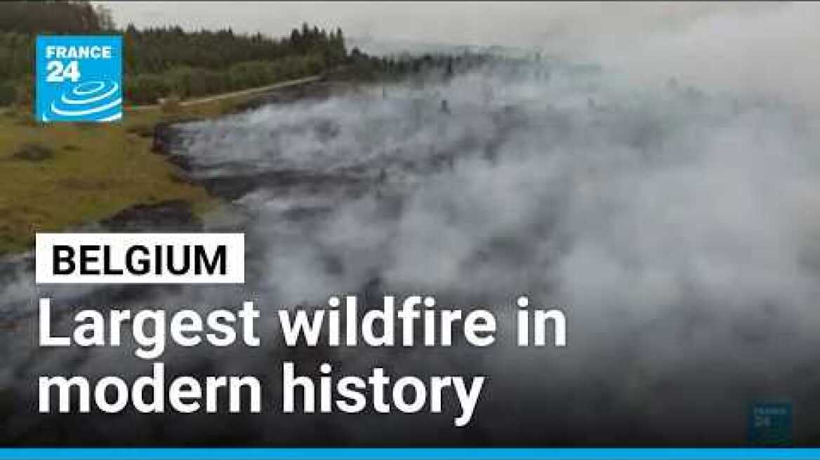 Belgium battles its largest wildfire in modern history • FRANCE 24 English